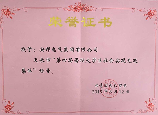 安邦集團榮獲天長市“第四屆暑期大學(xué)生社會實踐先進集體”稱號(圖1)