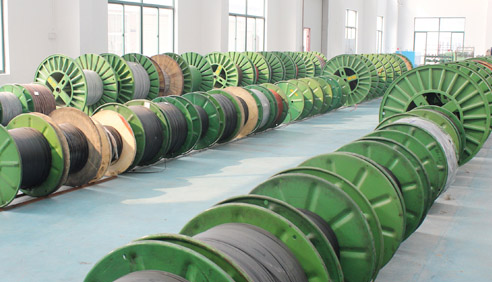 什么是電伴熱系統(tǒng)今后發(fā)展的方向？(圖1)