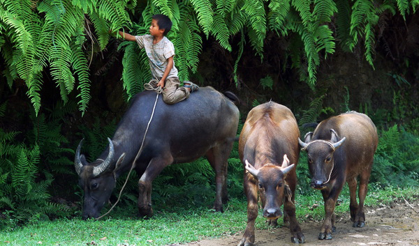 立志當(dāng)立天下志，求名當(dāng)求萬(wàn)世名(圖1)