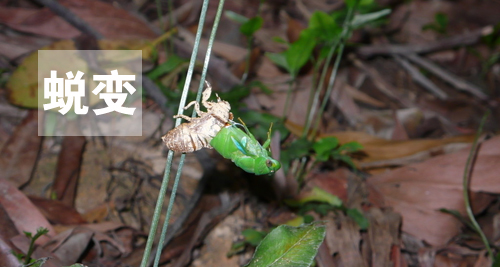 用心感受世界，因活著而幸福(圖4)