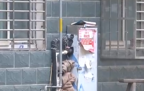 自來(lái)水管道保溫電伴熱帶，冬季管道防凍新寵(圖2)